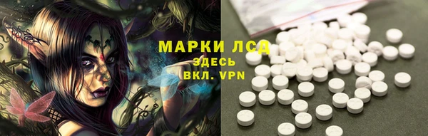 прущие грибы Инсар