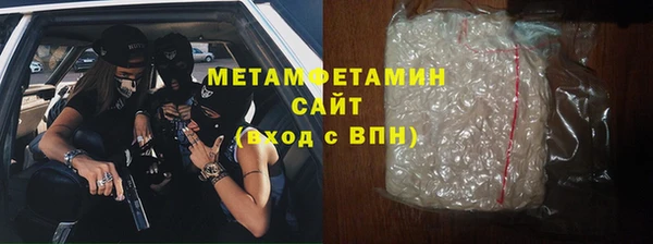 прущие грибы Инсар