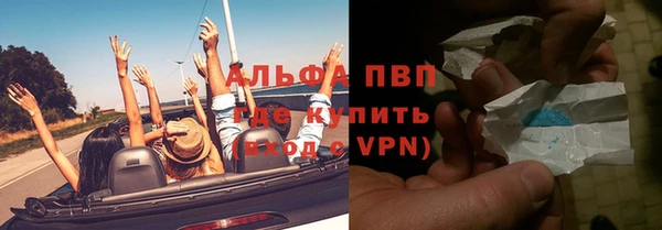 прущие грибы Инсар