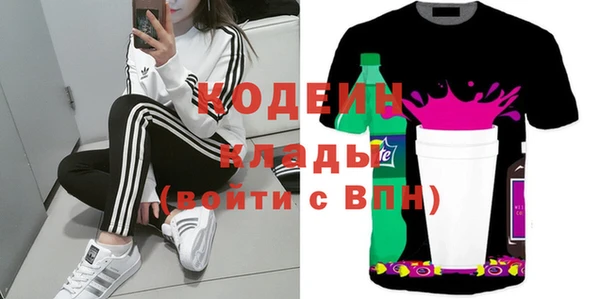 гидра Каменка