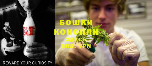 прущие грибы Инсар