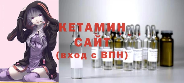 крисы Инта