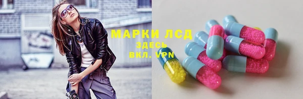 крисы Инта
