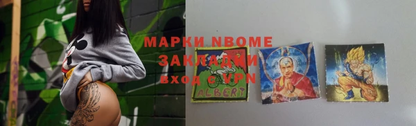 прущие грибы Инсар