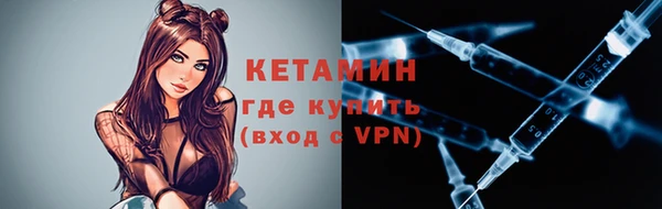 крисы Инта