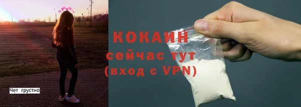 прущие грибы Инсар