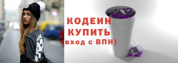 прущие грибы Инсар