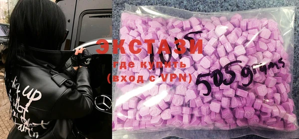 крисы Инта