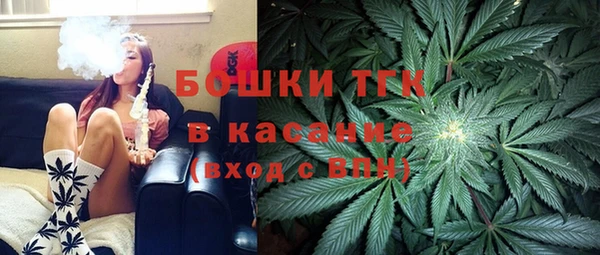 прущие грибы Инсар