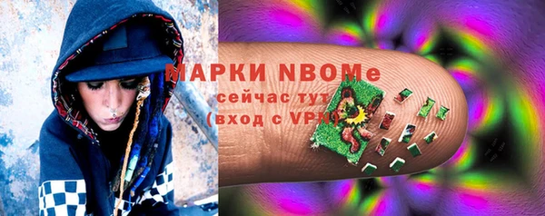крисы Инта
