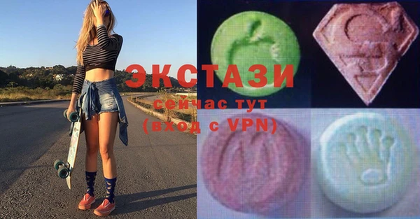 крисы Инта
