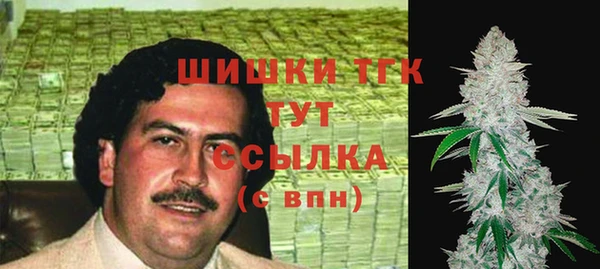 крисы Инта