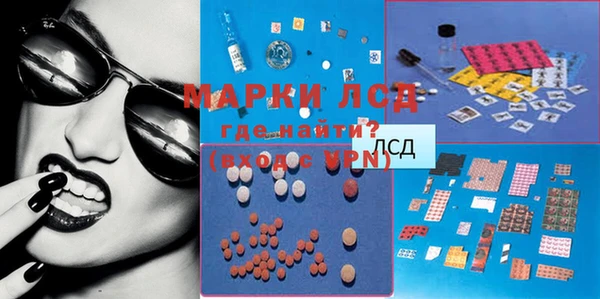 прущие грибы Инсар