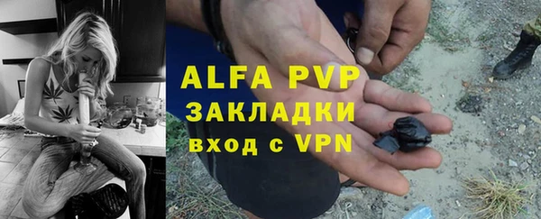крисы Инта