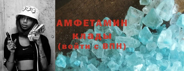 крисы Инта
